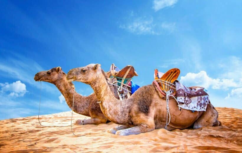 4 Days Camel Trekking Standard