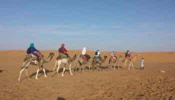 Camel Ride in Desert