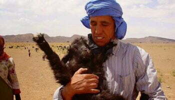Fother Youssef Hugs a Goats