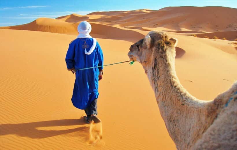 4 Days Camel Trekking Superior